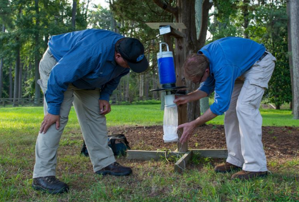 pest management